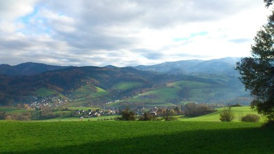 Schönberg_Nadiia.jpg