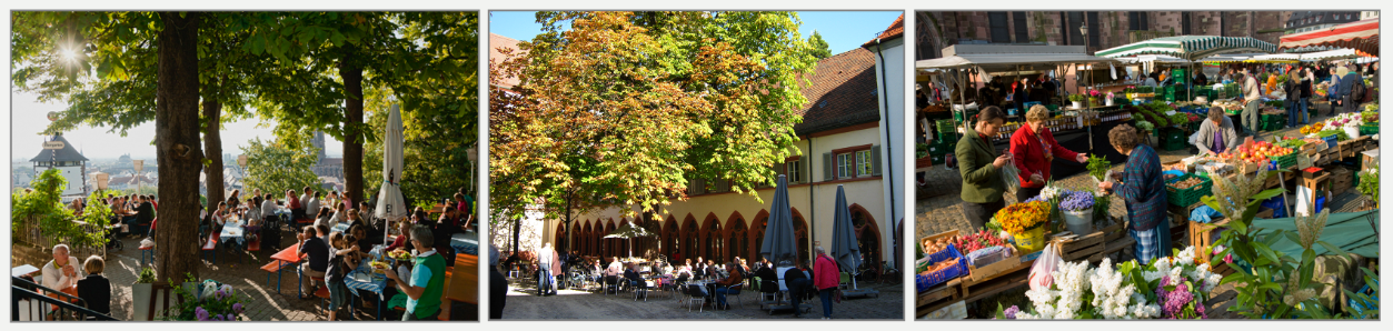 Zuschnitt_Collage_1.PNG